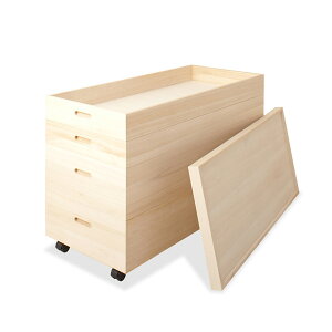  ߑP[X { 95 s42 64 ߑ ߏ֔ ߏփP[X VR LX^[t Wt HI-0036 [  Yyz