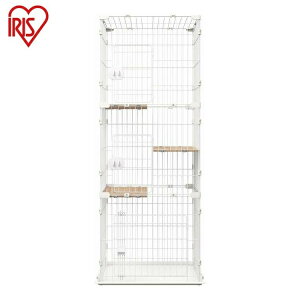 ACXI[} RpNgLbgP[W3i CCC-168 i` LbgP[W P[W L lR IRIS OHYAMA(s)yz