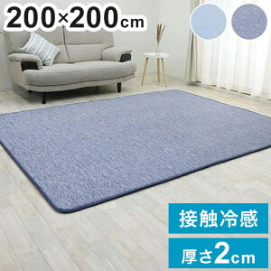 ���O 200×200cm �ᔽ�� ���O ���O�}�b�g �ėp �ڐG�⊴ �Ђ��� ���O�}�b�g �ᔽ�� ��20mm �h�� �t���A �� ����~�ߕt ���� �ӂ��ӂ� �k�� �⊴ ������ �N�[���}�b�g(����s��)�y���������z
