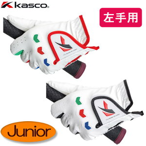 yLXRz WjA p O[uSF-22135J v LXR kasco qObvNAVI@\t ~ߕtЎp {Ki 䂤pPbgΉ(ǐՔԍ)yStz