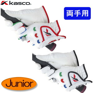 yLXRz WjA p O[uSF-22135JW v LXR kasco qObvNAVI@\t ~ߕt{Ki 䂤pPbgΉ(ǐՔԍ)yStz