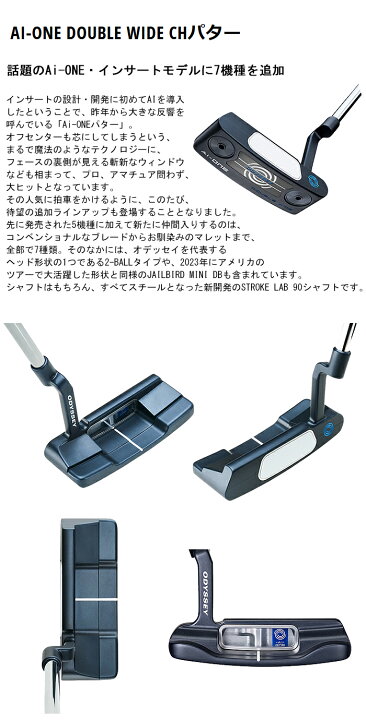 楽天市場】【追加モデル登場！ Ai-ONE パター 】DOUBLE WIDE CH 右用 