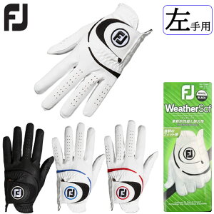 ytbgWCzp EFU[\tFJ Weather Sof j Y O[uFGWF23{Ki 2023f䂤pPbgΉ(ǐՔԍ)yStz