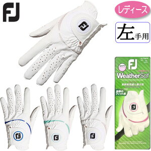 ytbgWCzfB[X p EFU[\tFJ Weather Sof  O[uFGWFW23 Ўp2023f {Ki䂤pPbgΉ(ǐՔԍ)yStz
