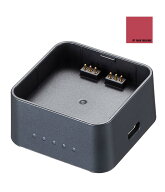 【お買い物マラソン限定】【日本正規代理店】Godox UC30 充電器 USB-C PD充電対応 [ AD200ProII WB29B, A…