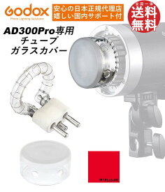 ＼楽天上位1%の安心優良ストア／[国内正規品] Godox AD300Pro専用 交換用パーツ フラッシュチューブ & ガラスカバー