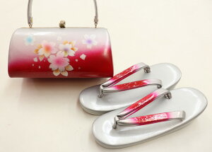 yԌZ[zUp@obOZbgyVizt[TCYi24.5jv[gɂVo[×bhn 