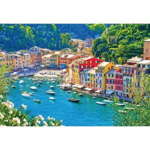 WO\[pY 1000}CNs[X |gtB[m [M81-869]