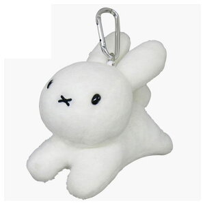 fBbNu[it@~[ ʂ݃pXP[X 