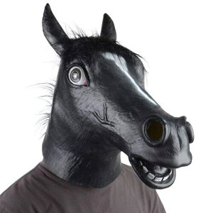 n̔蕨 Aj}}XN _[Nz[X 2