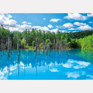 WO\[pY 500s[X {i l̐r 500-263