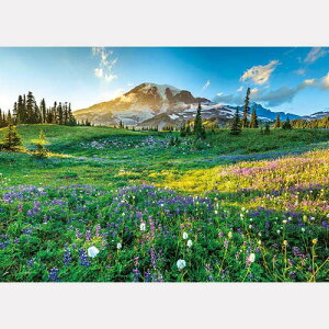 ジグソーパズル 500ピース 世界風景 遥かなるマウントレーニア 500-269