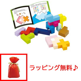 【ラッピング無料!】 木製玩具 知の贈り物シリーズ 立体パズル