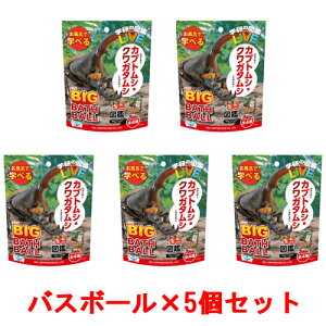 [5Zbg] w̐}ӃCu JugV NK^V rbOoX{[ BIG BATH BALL  oX{