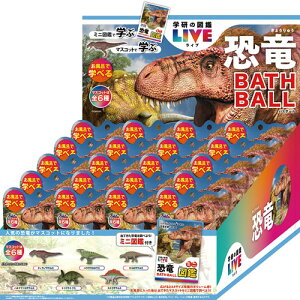 [20Zbg=1BOX] w̐}ӃCu oX{[2 BATH BALL  oX{