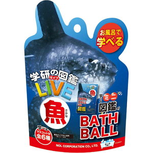 w̐}ӃCu oX{[ BATH BALL  oX{ 1