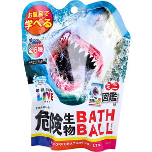 w̐}ӃCu 댯oX{[2 BATH BALL  oX{ 1