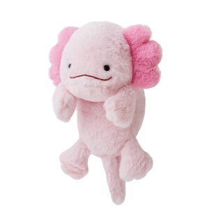 ӂ΂邸 (M[ Regular) ʂ E[p[[p[ Axolotle LTCY