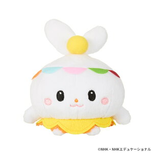 Ƃۂ ܂ ʂ STCY ȂȂ΂I