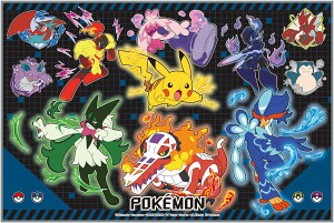 |PbgX^[ (|P 25) W[V[g STCY (60×90cm) VS1