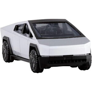 �g�~�J�v���~�A�� No.41 �e�X�� �T�C�o�[�g���b�N