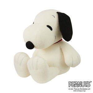 y!z Xk[s[ ʂ 킹Xk[s[NVbN 2LTCY