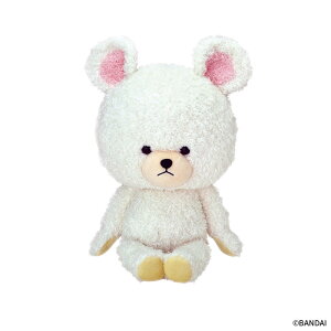 y!z ܂̂ ʂ RRfCrbh STCY