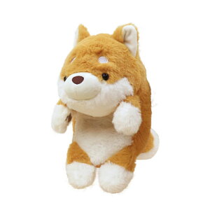 y!z ӂ΂邸 (M[ Regular) ʂ VoCk Shiba Inu LTCY