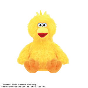 y!z SESAME STREET ZT~Xg[g PlayCharm rbOo[h (X}zX^hʂ)