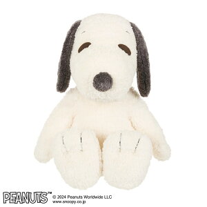 y!z Xk[s[ ʂ n[IMY Xk[s[ LTCY