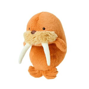 y!z ӂ΂邸 (M[ Regular) ʂ ZCE`