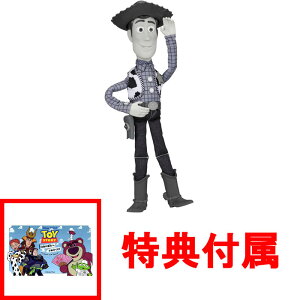 yT XebJ[ tz y!z gCEXg[[ 30N ATCYg[LOtBMA EbfB (EbfB̃EhAbvver.)