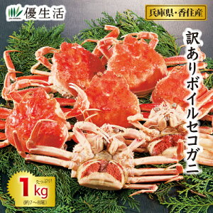 ( Jj I Mtg)󂠂{CZRKj1kgZbg