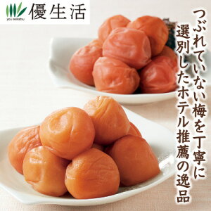 (~  썂~) a̎RV[TChzeCE 3IB썂~ 1.6kg