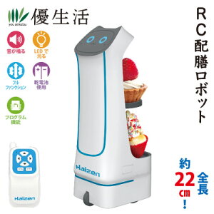 RC�z�V���{�b�g