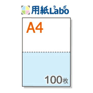 A4 ~Vړp 2 J[[/]y100z}CN~V100
