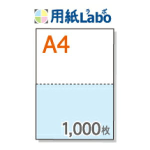 A4 ~Vړp 2 J[[/]y1,000z}CN~V1,000