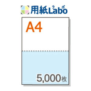 A4 ~Vړp 2 J[[/]y5,000z}CN~V5,000