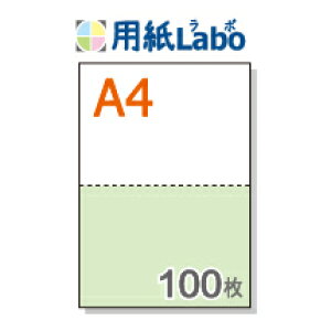 A4 ~Vړp 2 J[[/]y100z}CN~V100