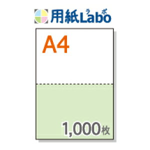 A4 ~Vړp 2 J[[/]y1,000z}CN~V1,000