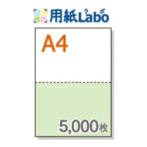 A4 ~Vړp 2 J[[/]y5,000z}CN~V5,000