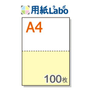 A4 ~Vړp 2 J[[/]y100z}CN~V100