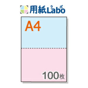A4 ~Vړp 2 J[[/sN]y100z}CN~V100