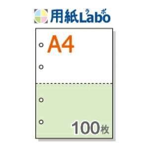A4 ~Vړp 2 J[[/] 4y100z}CN~V100