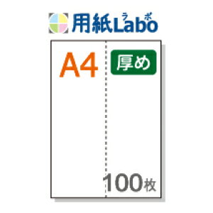 A4 ~Vړp ^e2 y100zRs[p߂̗pi70Kgj}CN~V100