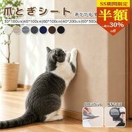 【半額！ クーポン利用で822円】 猫 爪とぎ シート 爪とぎ防止壁紙 猫 爪とぎ 爪とぎ防止シート 猫 壁 ひ…
