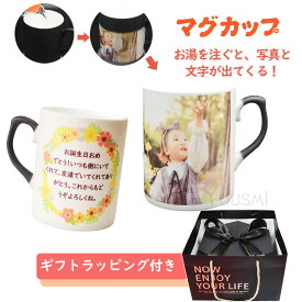 楽天市場 マグカップ 写真入り 送料無料の通販