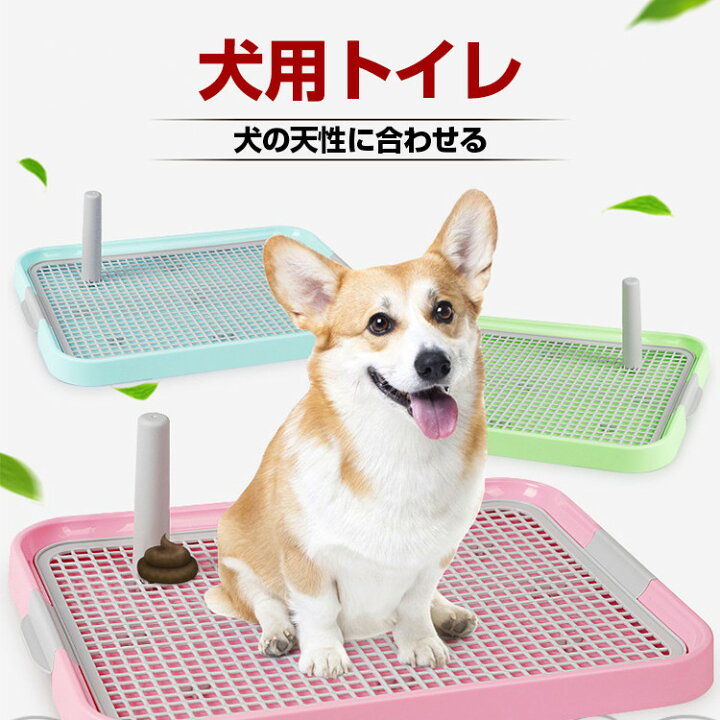 楽天市場 ペットトイレ トレー 犬 トイレ おしゃれ メッシュ スノコ 付き 足上げポール付き フチ漏れ防止 犬用 トイレ ペット トイレトレー 犬 トレーニングトイレ 小型犬 犬の天性に合わせたトイレ お手入れ簡単 ペット用品 Youtatsu楽天市場店