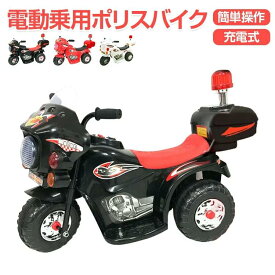チョップ 再編成する 解く 電動バイク 子供 乗れる スポット - uchouran.jp