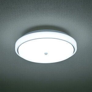 シーリングライト おしゃれ 明るい led 照明 電気 人感センサー 明暗センサー ライト 室内 屋内 自動点灯 自動消灯 小型 led シーリングライト ledシーリングライト シーリング 人感 明暗 リビ